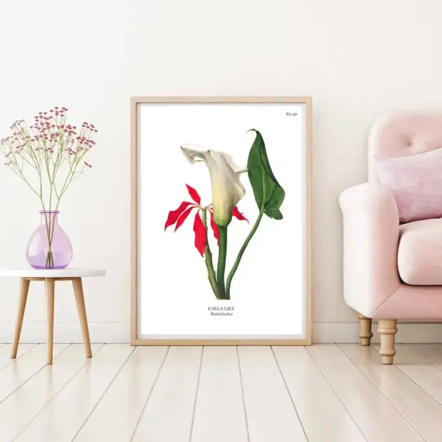 Art print with a botanical sketch on it and scientific name