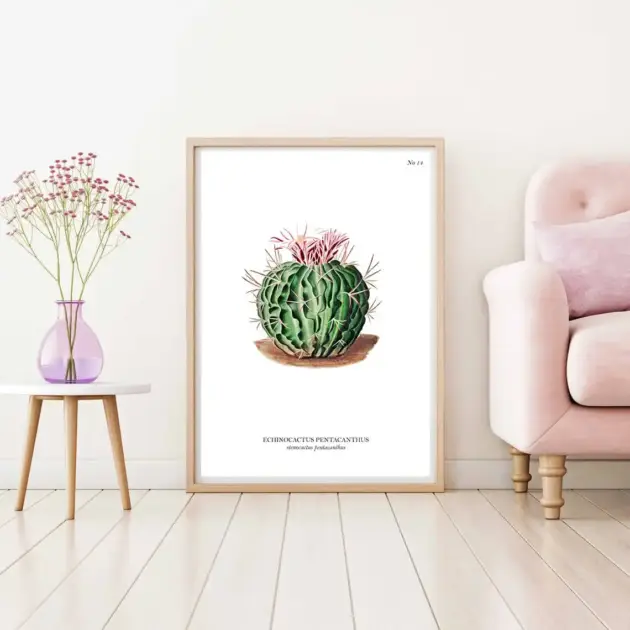 Art print with a botanical sketch on it and scientific name