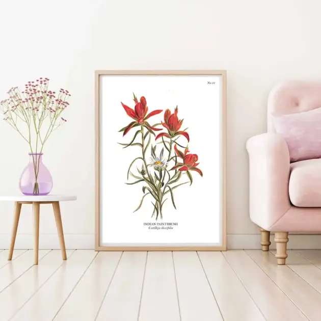 Art print with a botanical sketch on it and scientific name