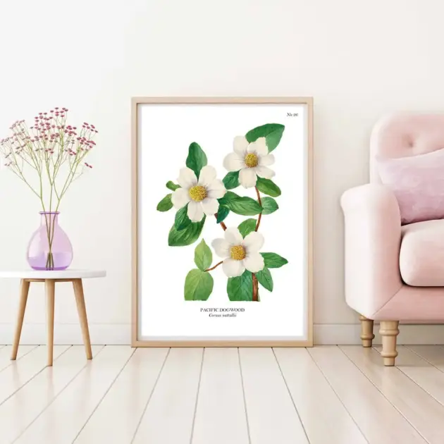 Art print with a botanical sketch on it and scientific name