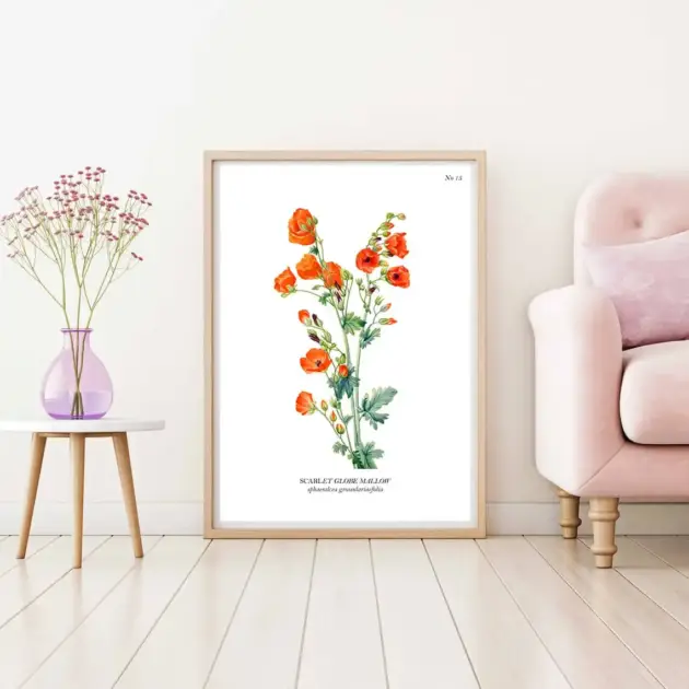 Art print with a botanical sketch on it and scientific name