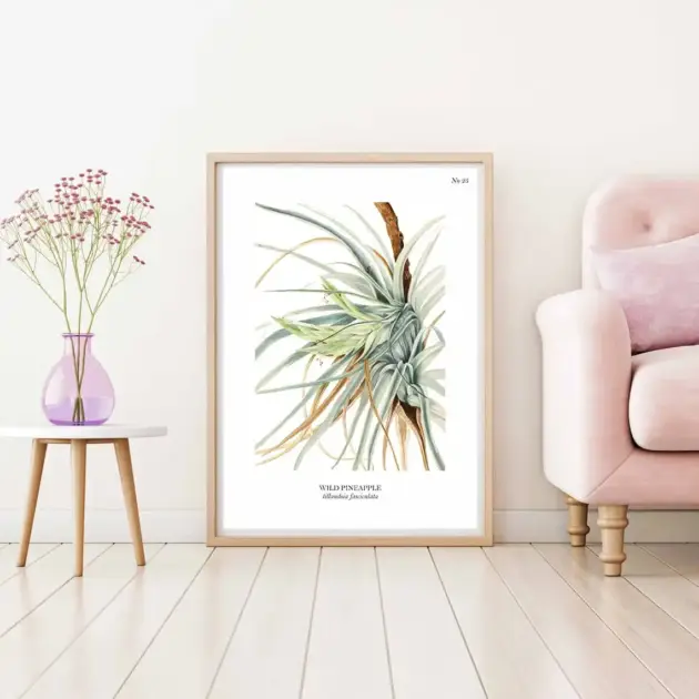 Art print with a botanical sketch on it and scientific name